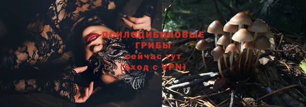 трава Пестово