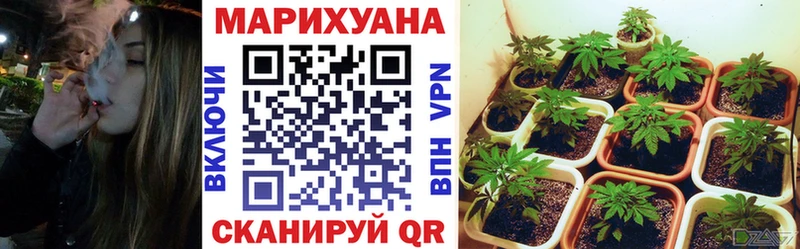 Конопля MAZAR  Ворсма 